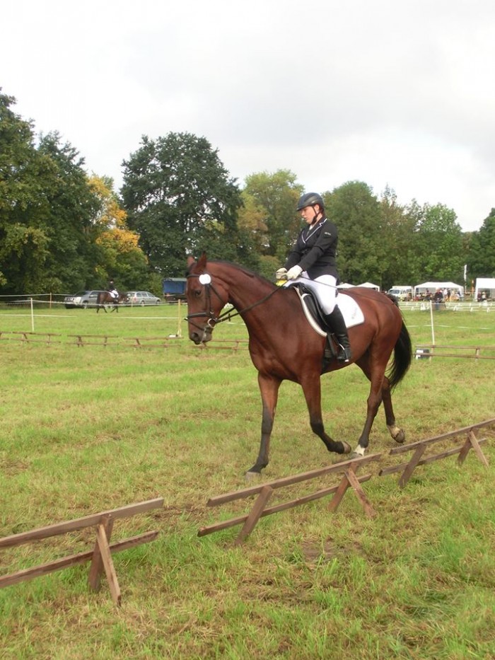 Pillnitzer Reitturnier