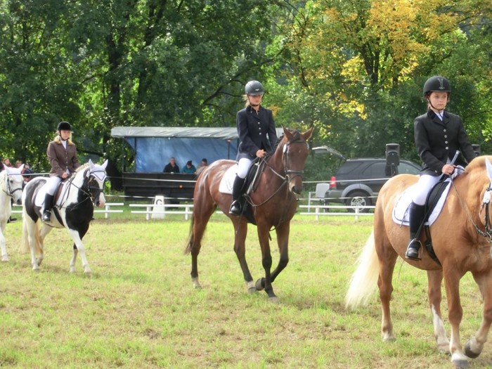 Pillnitzer Reitturnier