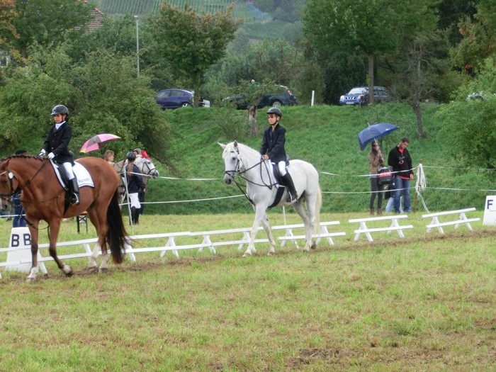 Pillnitzer Reitturnier