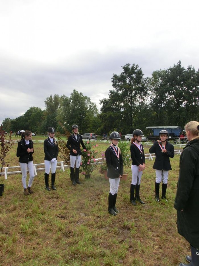 Pillnitzer Reitturnier