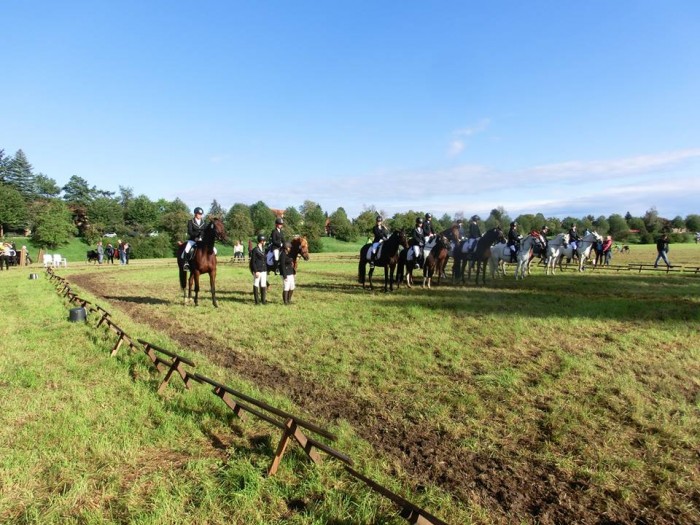 Pillnitzer Reitturnier