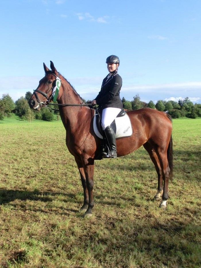 Pillnitzer Reitturnier