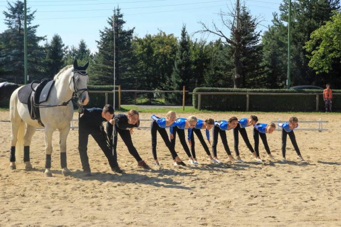 Wettbewerb Voltigiergruppen