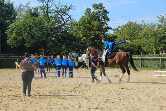 Wettbewerb Voltigiergruppen