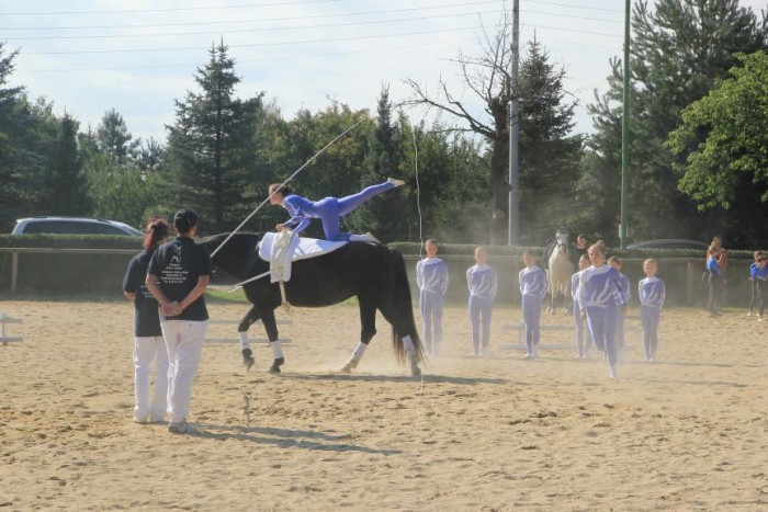Wettbewerb Voltigiergruppen