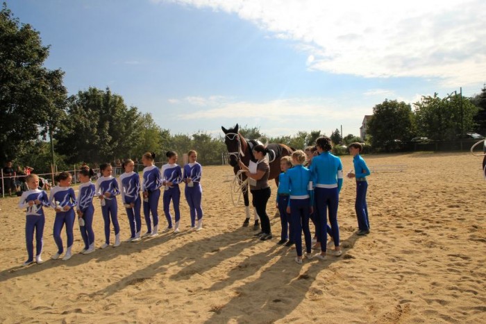 Wettbewerb Voltigiergruppen