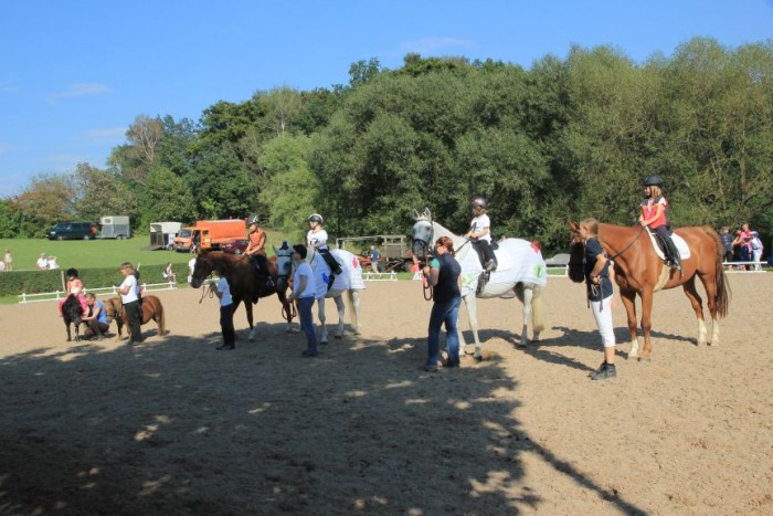 Führzügel-Wettbewerb mit Kostüm