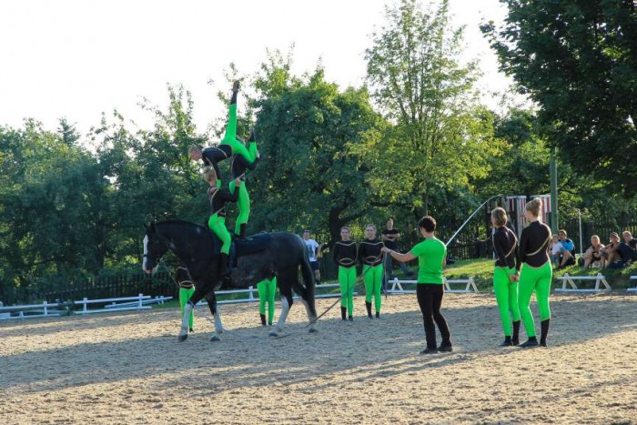 Showvorführung Voltigiergruppe „Gestüt am Wilisch“