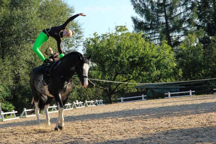 Showvorführung Voltigiergruppe „Gestüt am Wilisch“