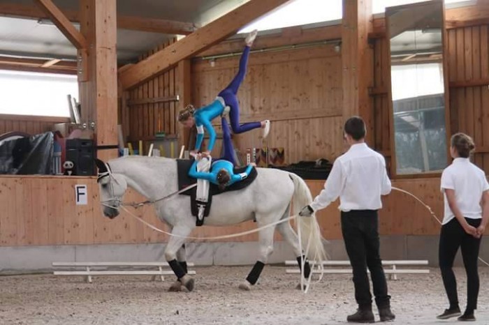 Voltigierturnier Neu-Krauscha